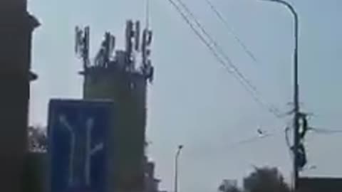 Serbia: town of Kruševac at the beginning of 5g rollout 2021, dead birds everywhere