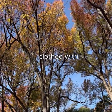 Human Nature vs Grace Part 4