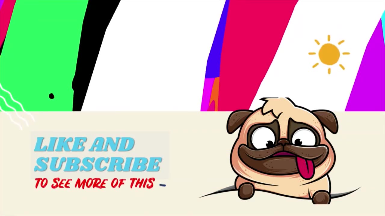 Funny animal video 1