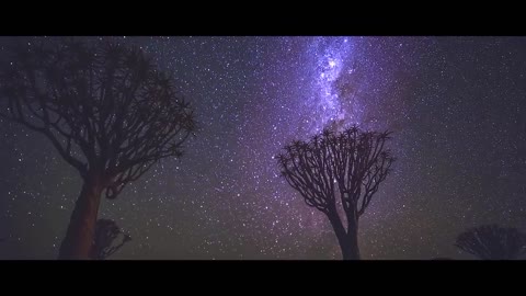 Journey through Namibia