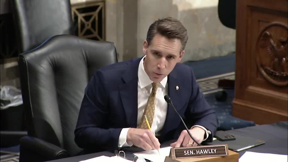 Josh Hawley questions head of TSA about illegal alines using arrest warrants as ID for air travel