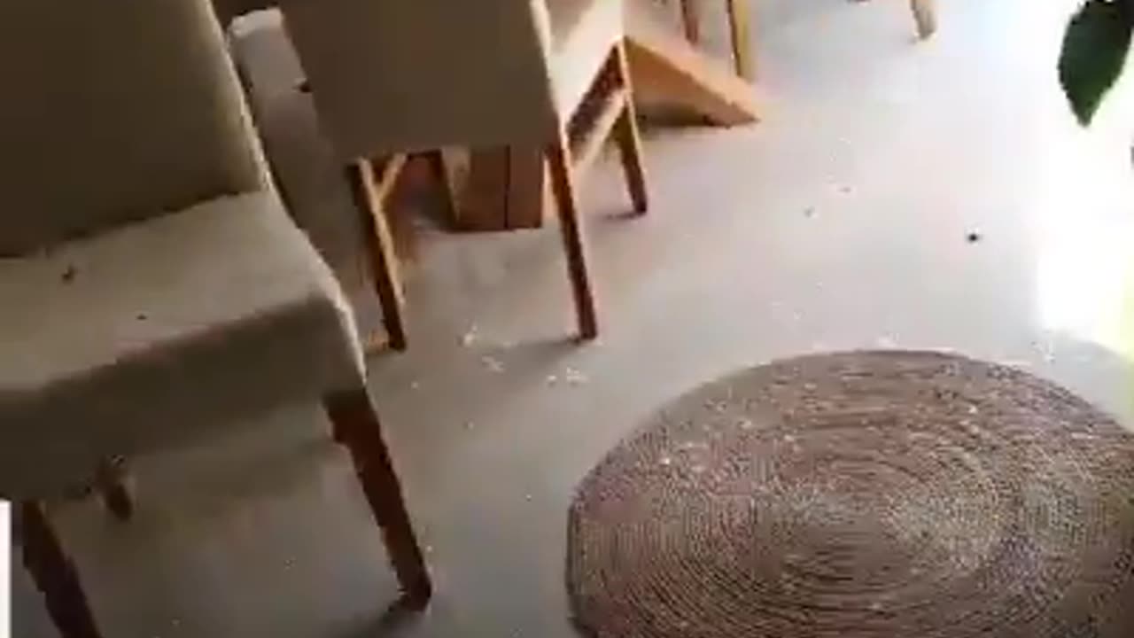 Hamas killed this family on oct 7th and video taped it