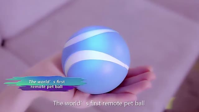 Pet remote control ball lets you play with your pet from anywhere