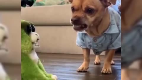 Pet🐕 vs Toys funny shorts 😂