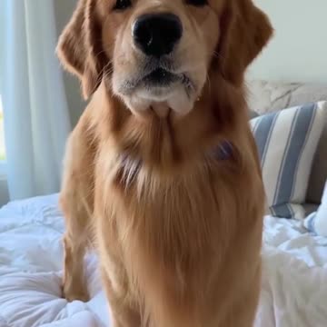 Someone's gotta pay the bills 🍑 #onlydusters