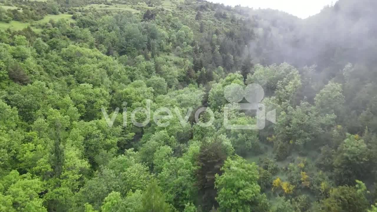 Aerial Drone View Of A Wonderful Foggy Forest In The Pyrenees With All Kinds Of Trees, Pines, Firs,