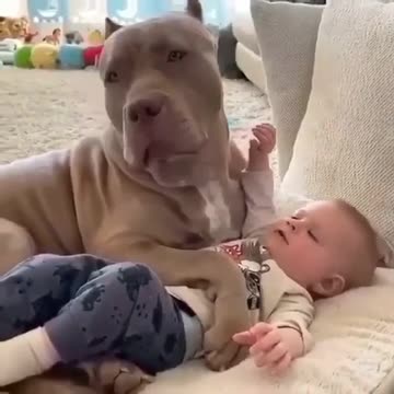 puppy with baby