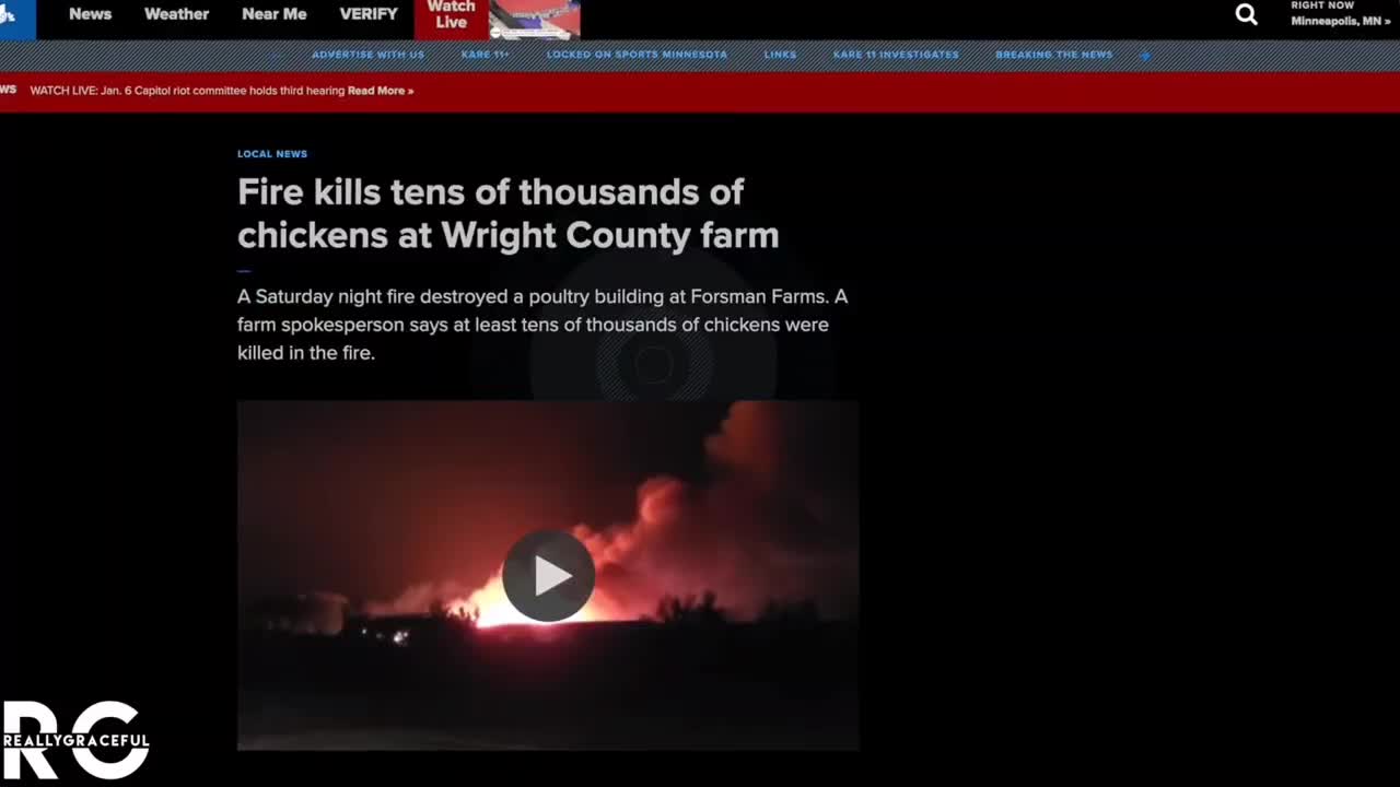 The power elites going for total control through food crisis