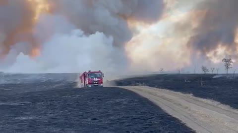 Ukrainians claimed that 350,000 hectares of fields burned out due to Russia ?