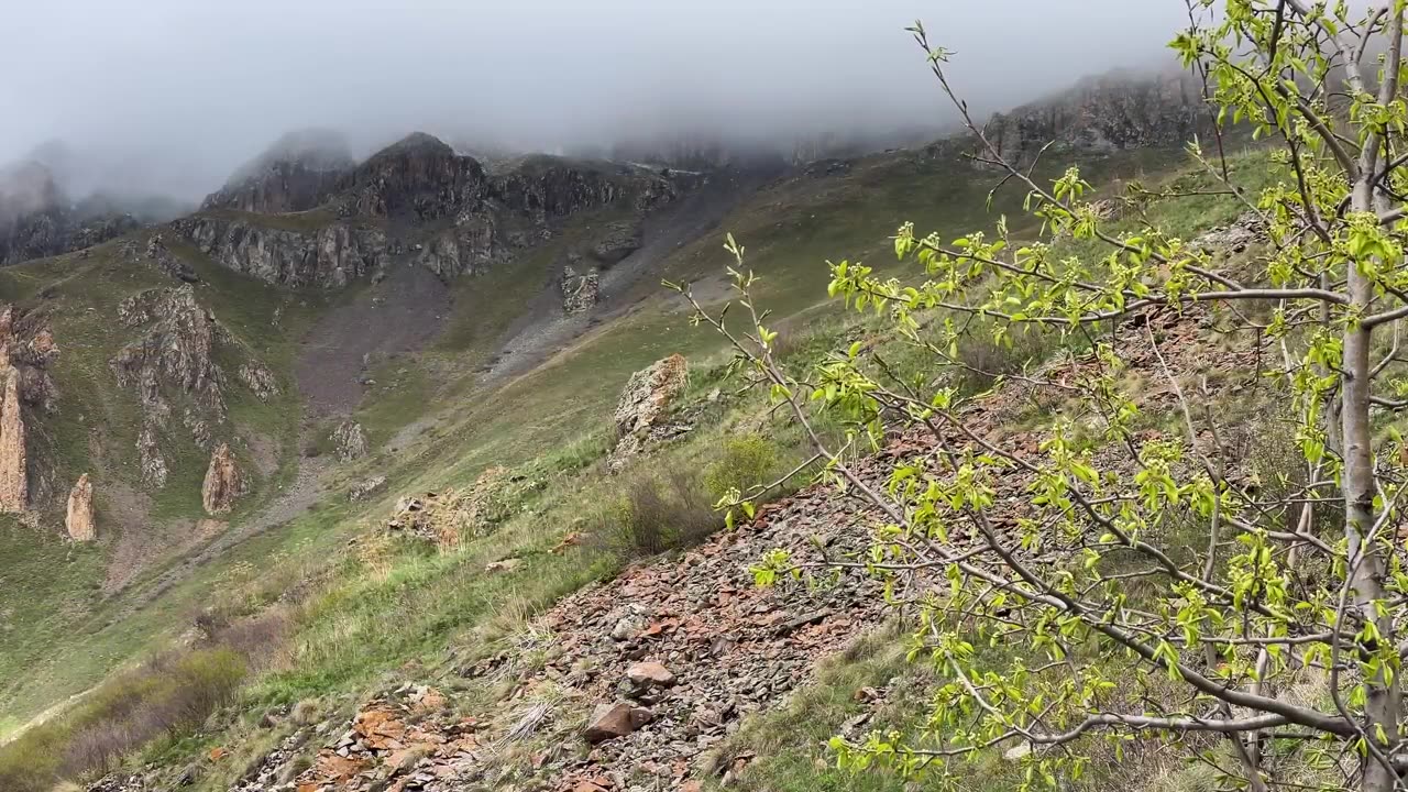 Cooking a Whole Sheep in the Kelbajar Region of Azerbaijan