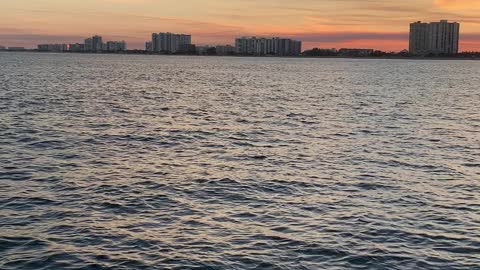 South Florida