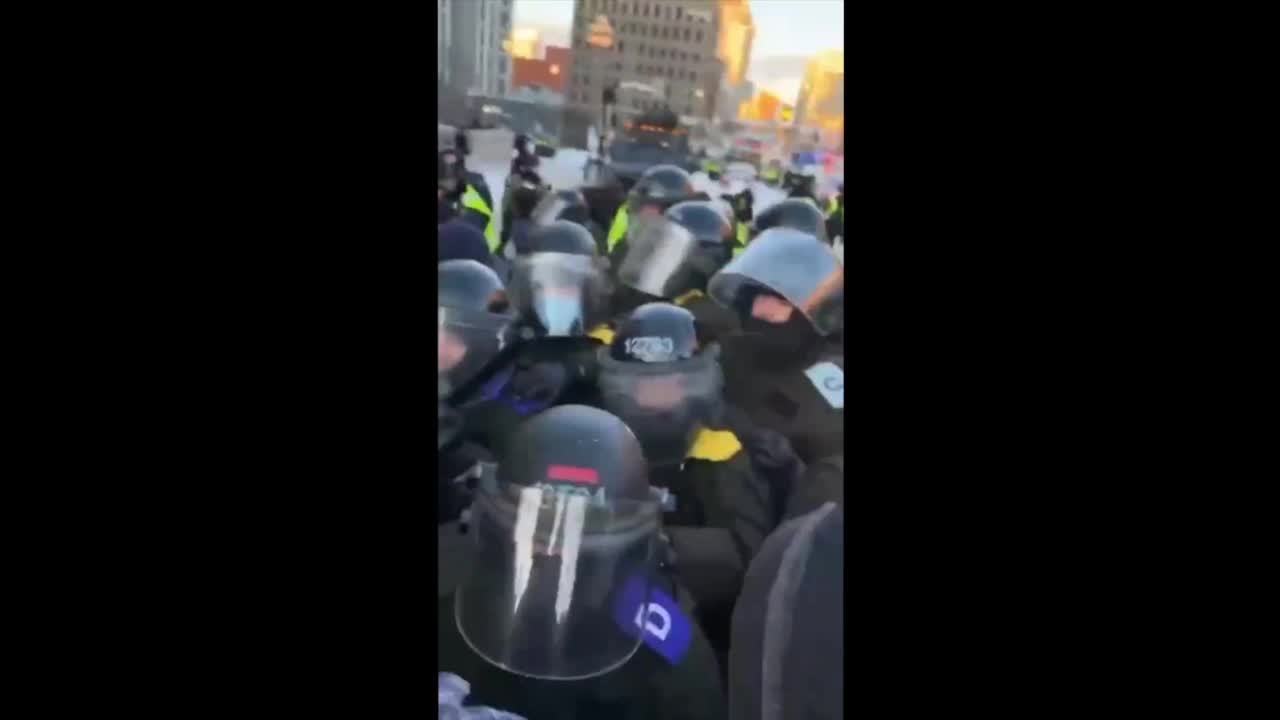 Ottawa Police Horses Trample Protestors