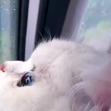 So beautiful eyes 🥺