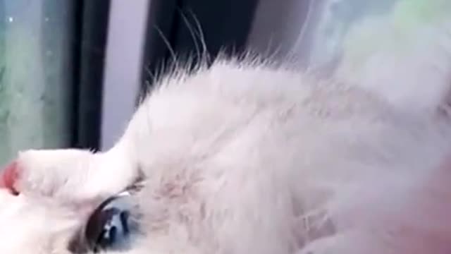 So beautiful eyes 🥺