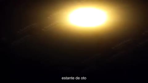 Mamulechka, tenemos que salir de aquí: se ha visto algodón por primera vez en Kerch