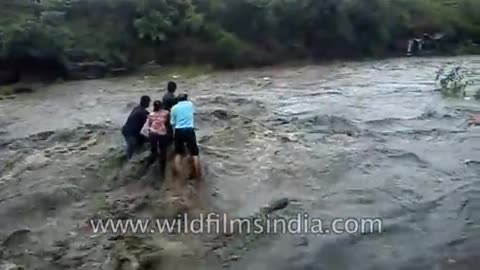 Waterfall incident in India sweeps family into the water