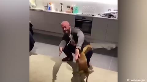 Most heartwarming dogs reunion with their owners #dogs#animallover#america#joebiden