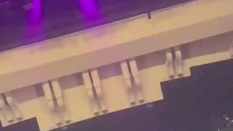 Fan throws phone on stage, Megan Thee Stallion takes advantage
