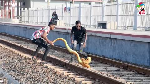 King Cobra Snake Prank 🐍 | Fake Snake Prank Video on Public |PrankVideos