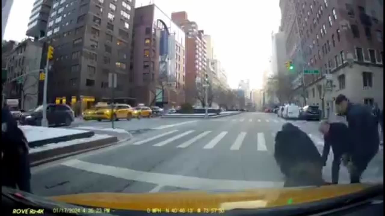 Sahara Dula A BLM activist involved in NYC pro-Palestine protests ramming a car into NYPD officer