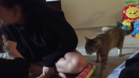 Cat Imitates The Sound Of Owner