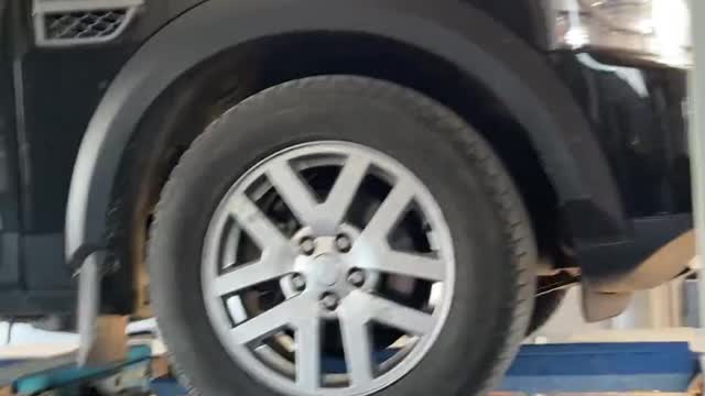 Lazy Kitty Found Napping in Truck Bumper