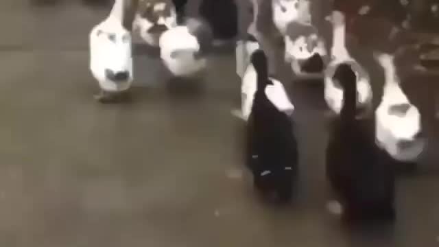 We all have that one friend!🤣