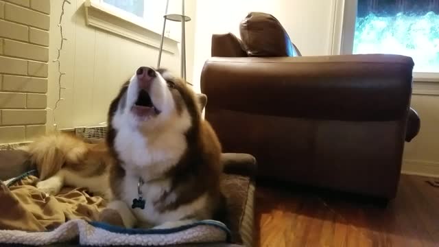 Hitting those high notes!