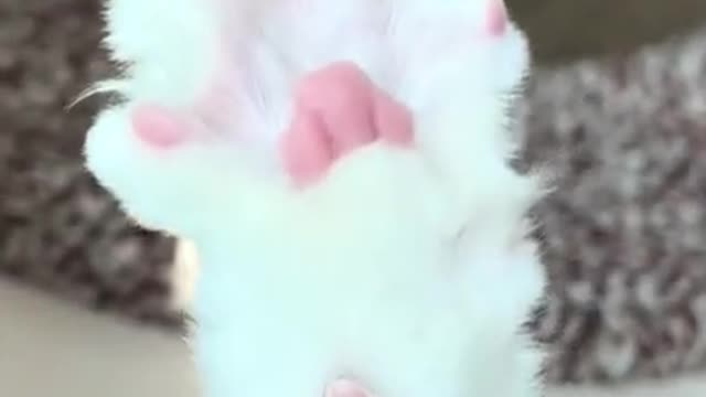 That's when I took off my socks, which are pressing on me