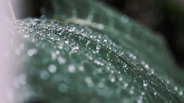 relaxing music with the sound of nature, rain.