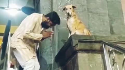 Dog greeting devotees as they leave the temple in India