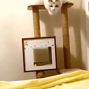 I’m coming. I’m falling.🥺