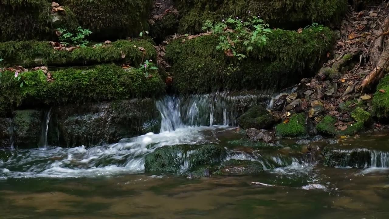 Exotic Relaxing Music for Stress Relief | Meditation Music, Sleep Music, Study Music