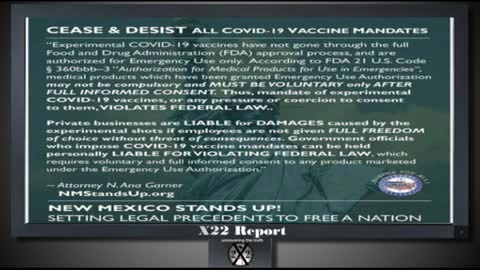 X22 Report - Do You See His Plan, How Do The People Take Back The Power & Crush The [DS] System?