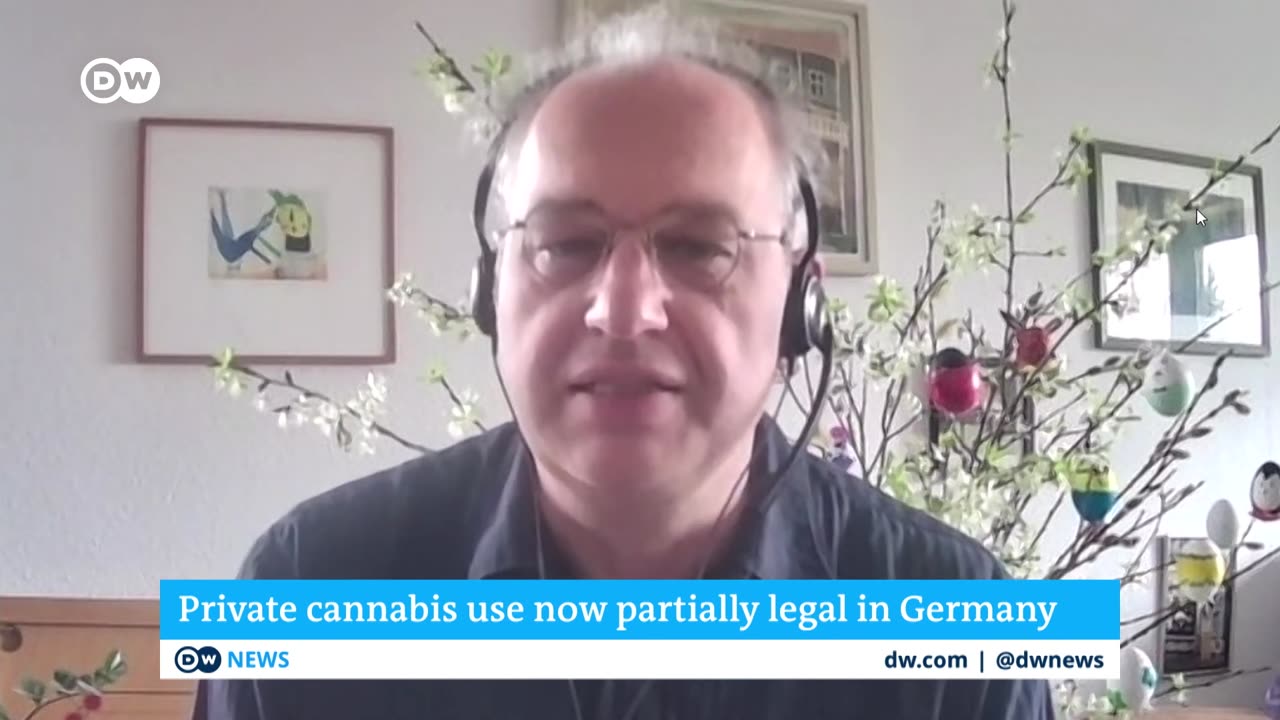 After partial cannabis legalization, what are the pros and cons? | DW News