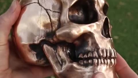 Metal Skull || Human skull