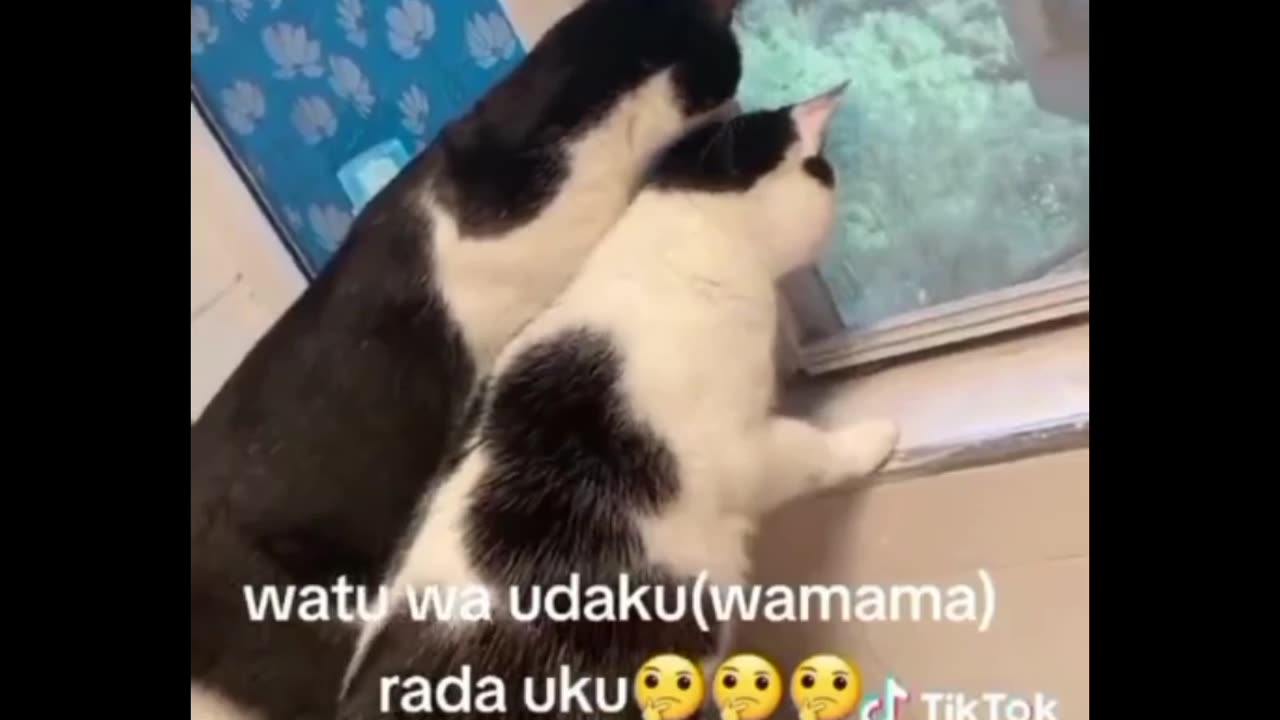 Shocking little creatures