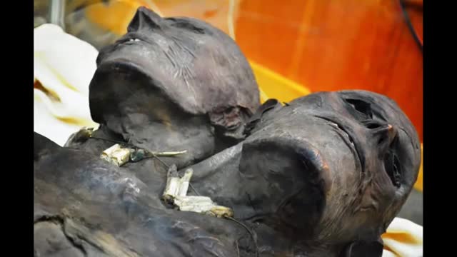 8 hours of our lost world that the world government hides from you_2. - 001