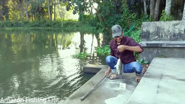 Best Hook Fishing || Traditional Hook Fishing