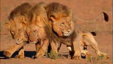 3 best frinde