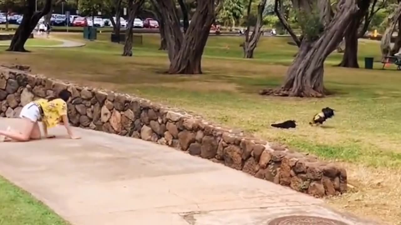 Funny Video