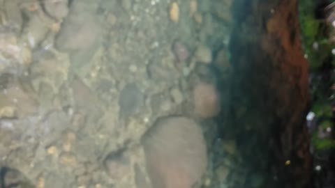 Rocks at the bottom of the river