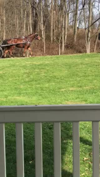 Living in Amish Country