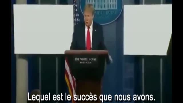 [15] Donald Trump Press Conference - Cat Vibing With Trump