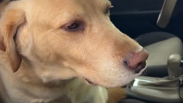 He’s got his lipstick out