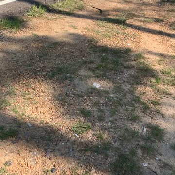 What happens when you drop your phone from a motorcycle?!