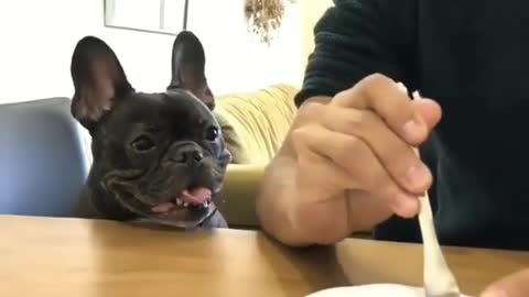 Give me to eat