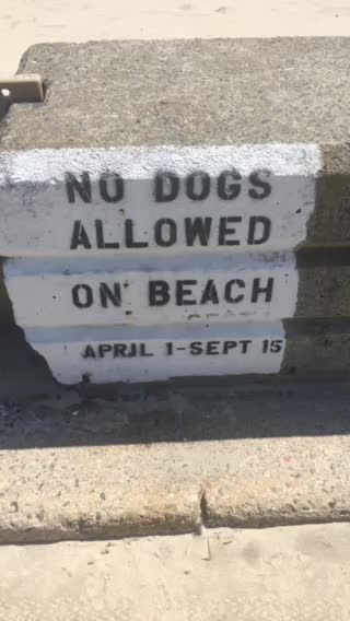 Revere Beach no dogs allowed