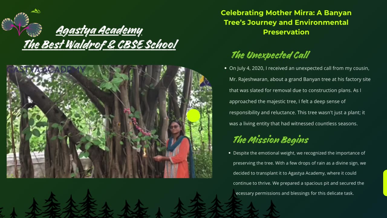 Celebrating Mother Mirra: A Banyan Tree’s Journey and Environmental Preservation