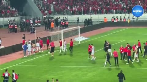 فرحة الوداد